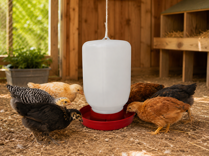10 Bebederos Colgantes De 4 Litros Gallos Aves Pollo Colibri