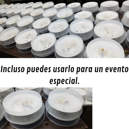 Tapa Antisalpicaduras Para Horno Microondas Cocina Hogar