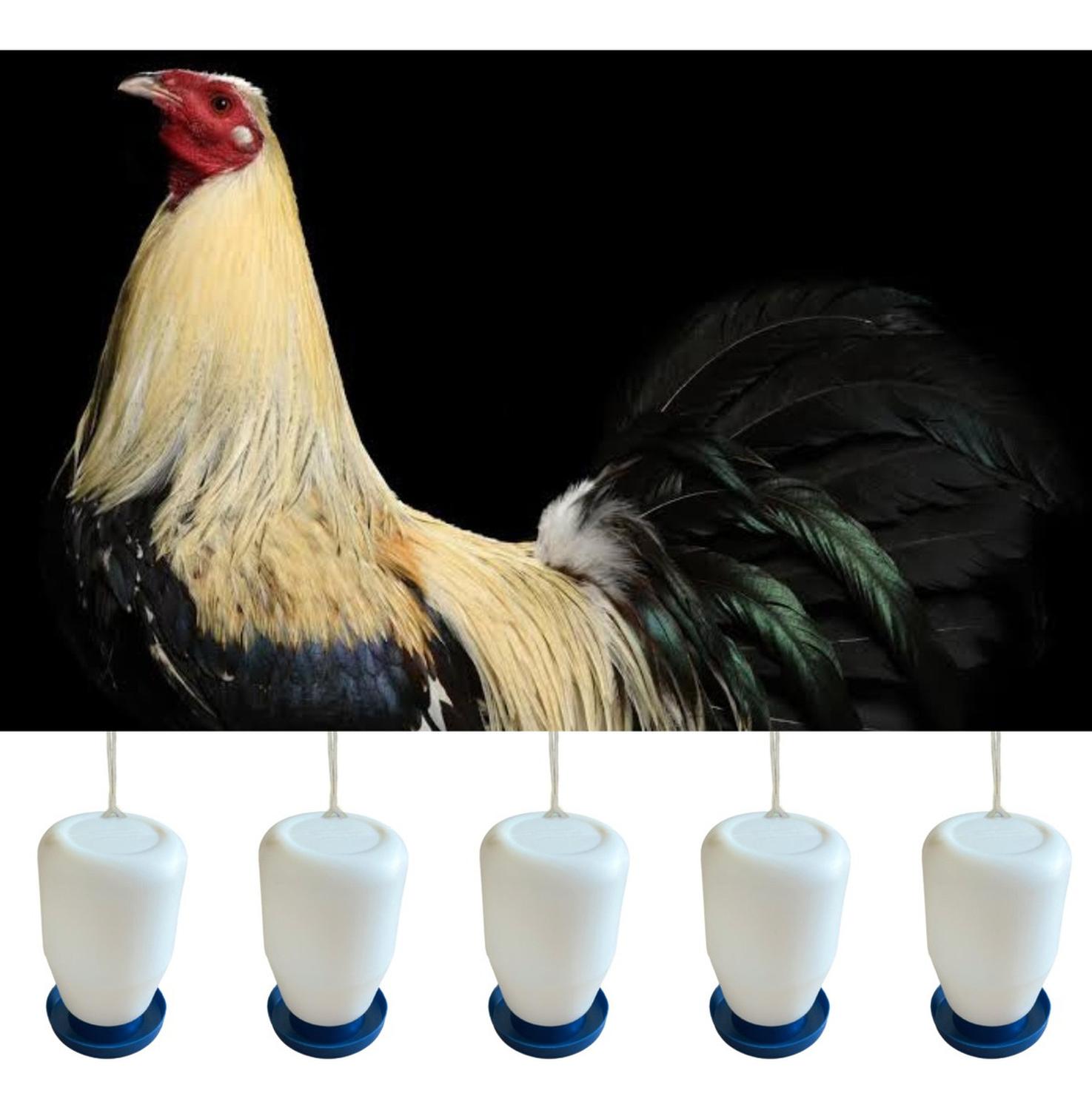 jpg_1500x1500_58710042