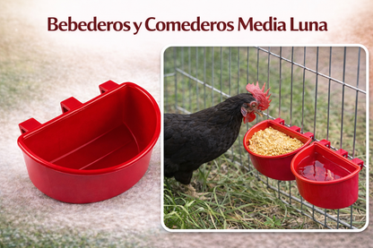 50 Bebederos Comederos Para Gallo Media Luna Rojo Y Azul