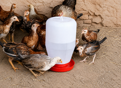 5 Bebederos Colgantes De 4 Litros Gallos Aves Pollos Colibri