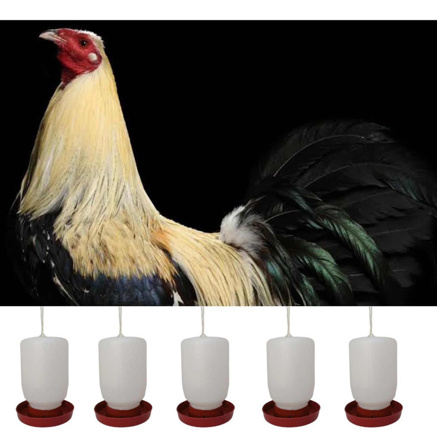 jpg_1500x1500_58710007