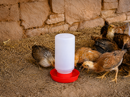 Bebedero Para Pollo O Pajaro1 Litro  10 Piezas