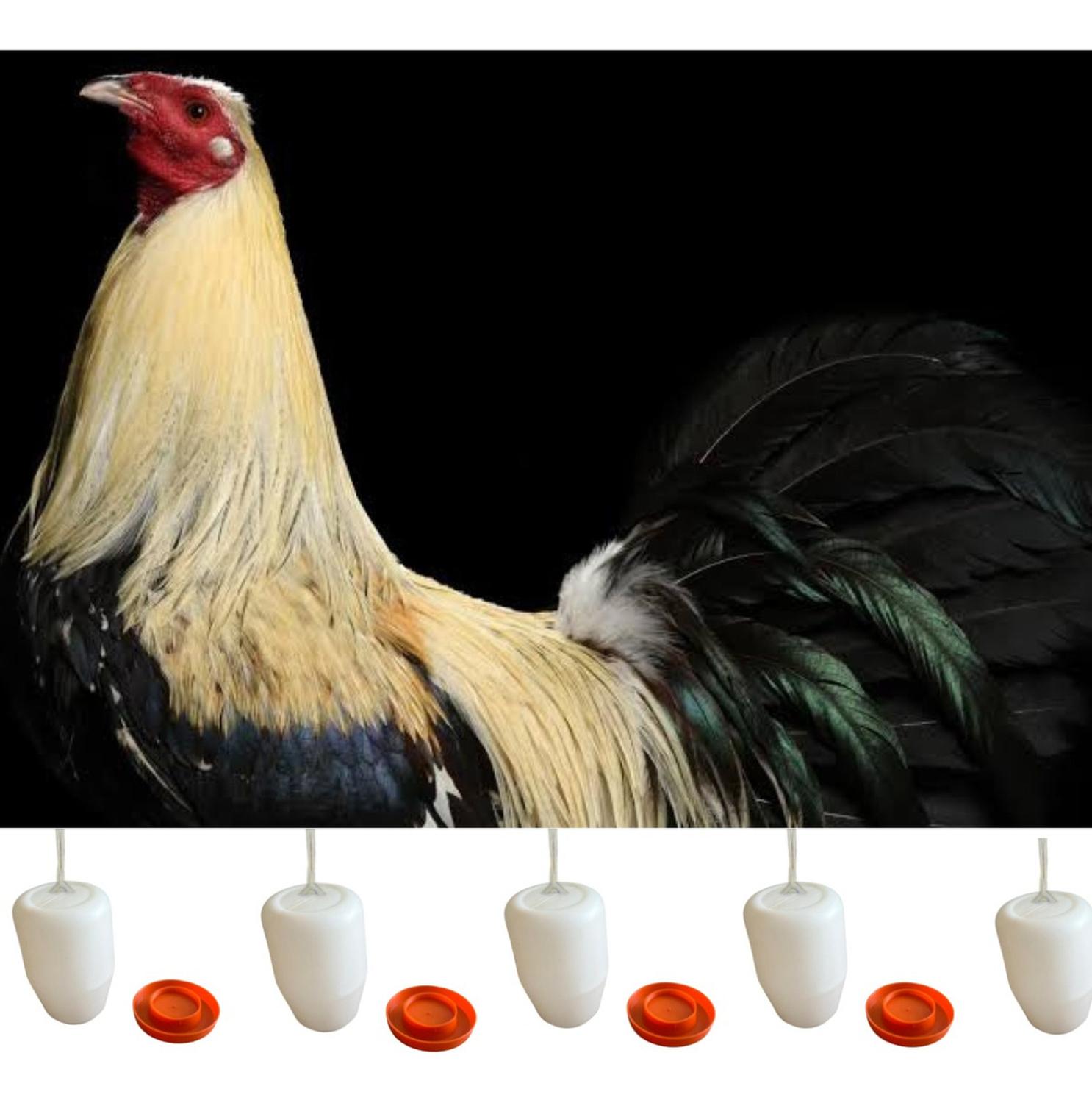 jpg_1500x1500_58710023