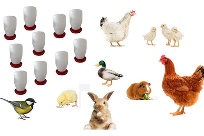 Bebedero Para Ave Pollo Gallina 2 Litros 50p