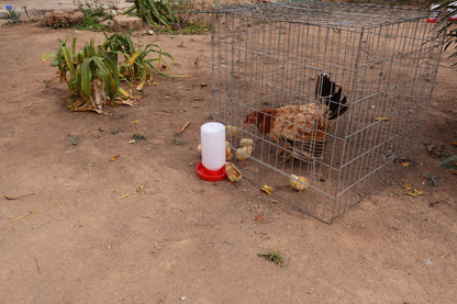 Bebedero Para Pollo O Pajaro1 Litro  10 Piezas