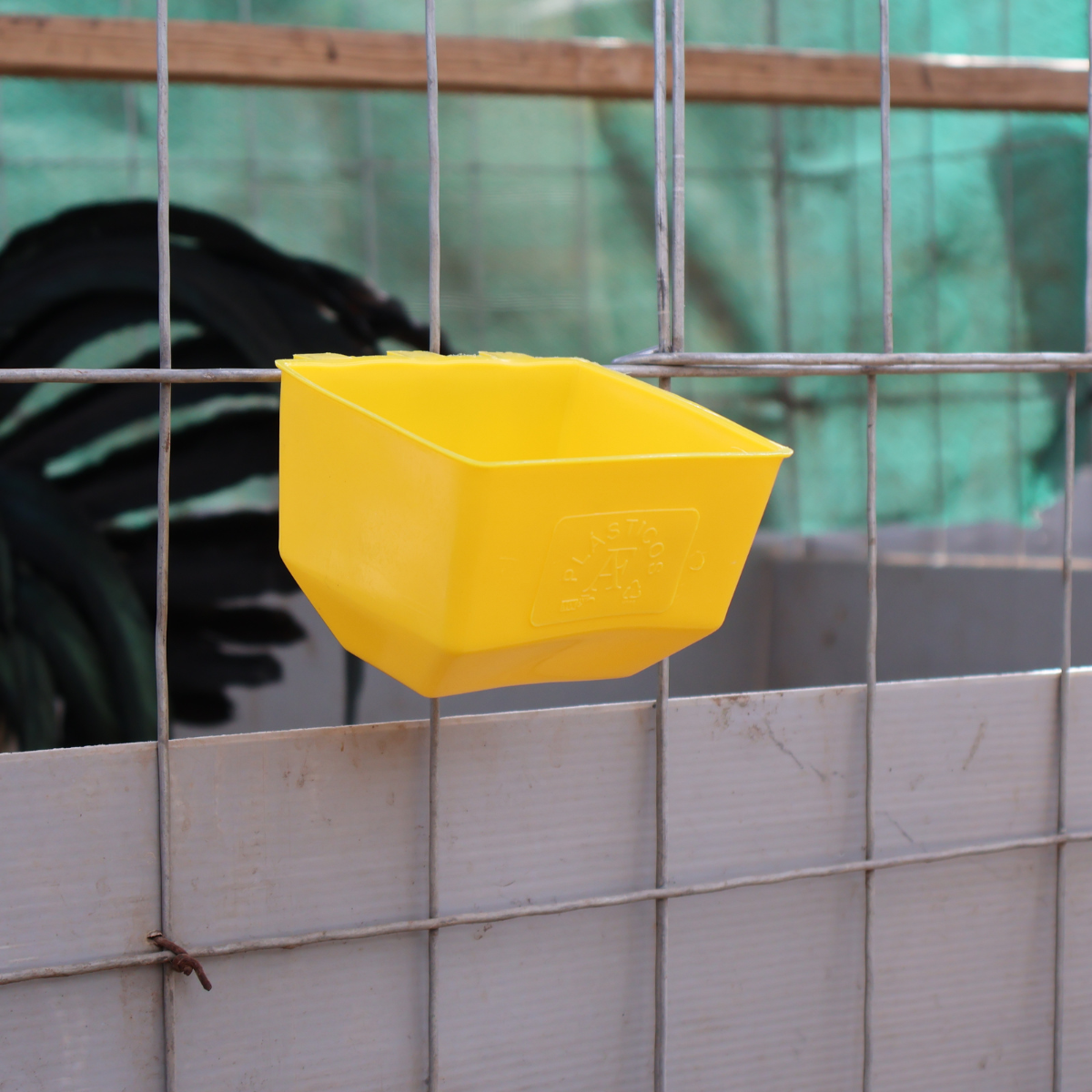 50 Bebederos Comederos Cuadrados Para Gallo Pericos Loros