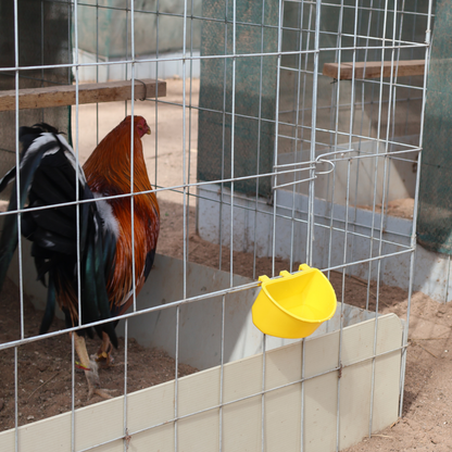 Comedero Para Gallo Media Luna 100 P