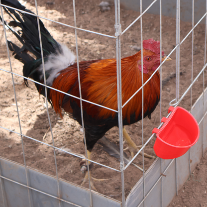 Comedero Media Luna Perico Gallo Pajaro Ave 20 Pz + 3 Regalo