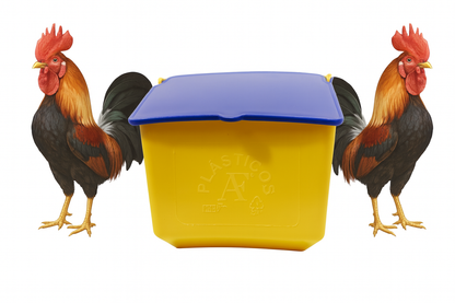50 Comederos Cuadrados Amarillo Tapa Azul 300g Gallos