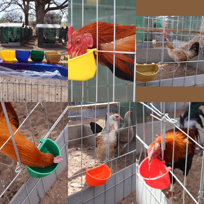 60 Comederos Bebederos Para Gallo 30 Media Luna + 30 Cuadrad