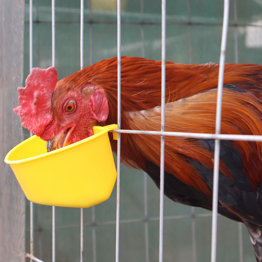Comedero Media Luna Gallo Pollo Amarillo 20 Pz Más 3 Regalo
