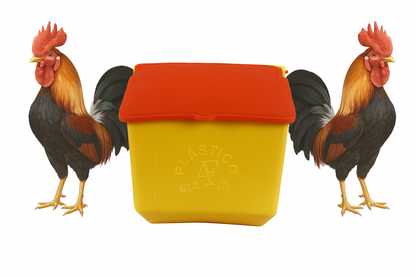 10 Comederos Cuadrados Amarillo Tapa Naranja 300g Gallos