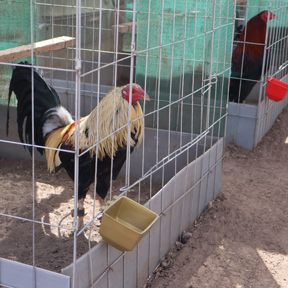 10 Bebederos Comederos Cuadrados Para Gallo Perico Loro Aves